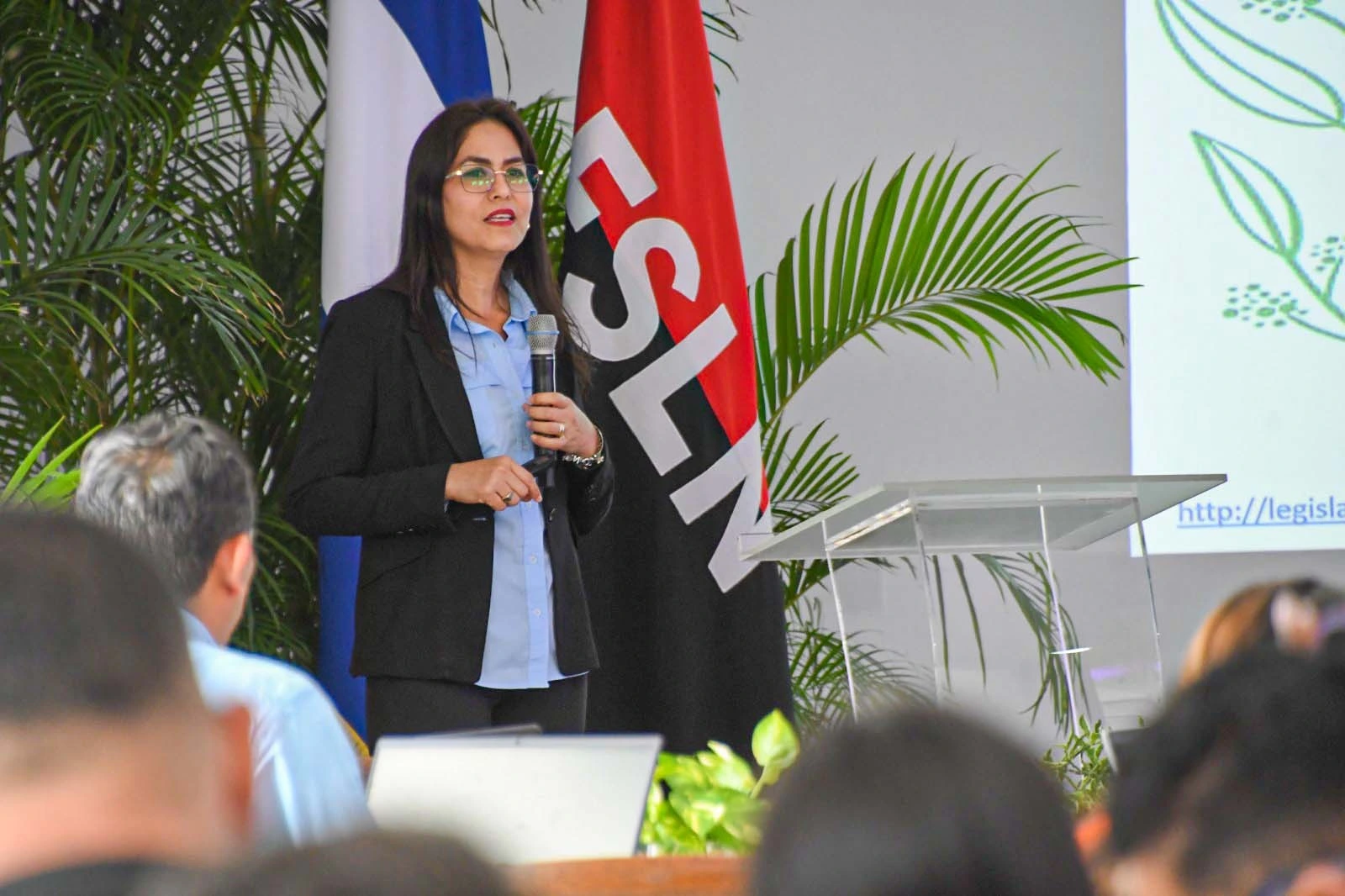 MARENA4