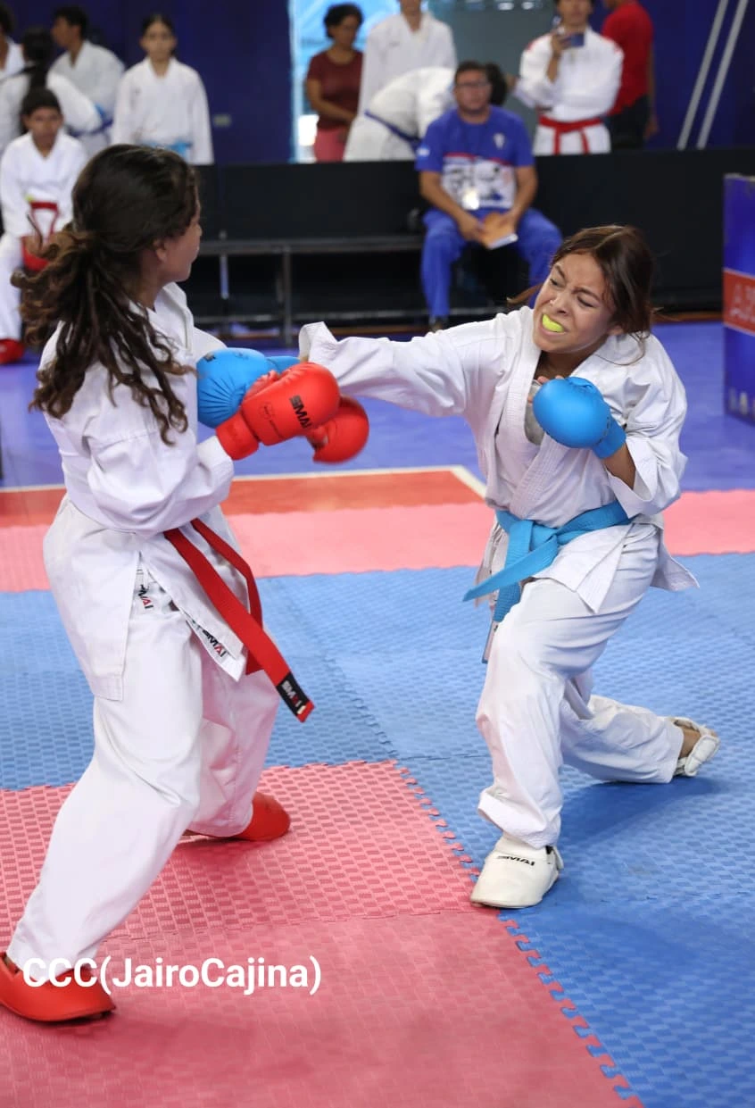 KARATE-(11)