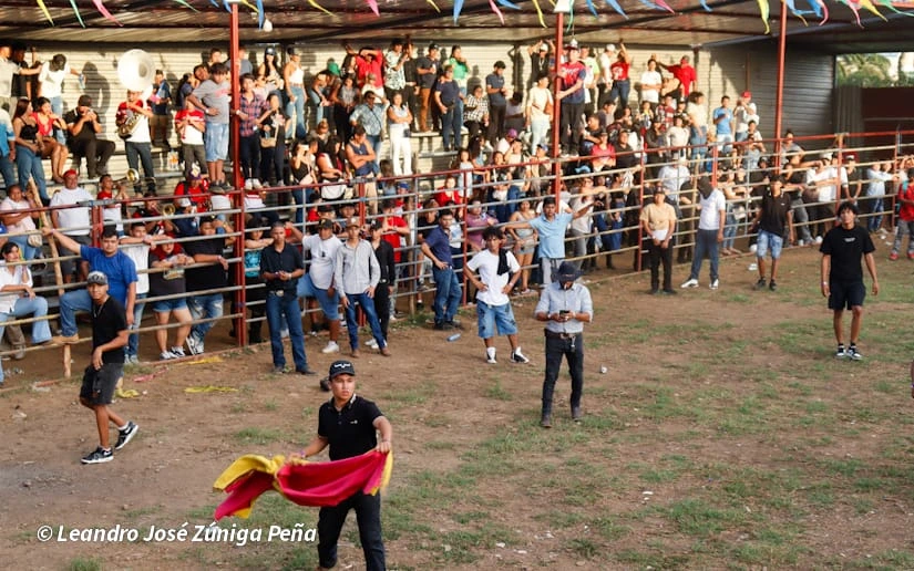 TOROS-(14)
