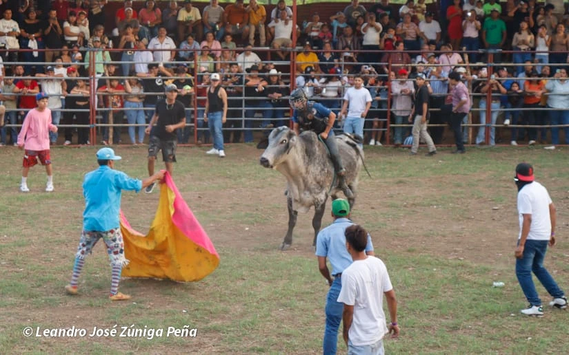 TOROS-(17)