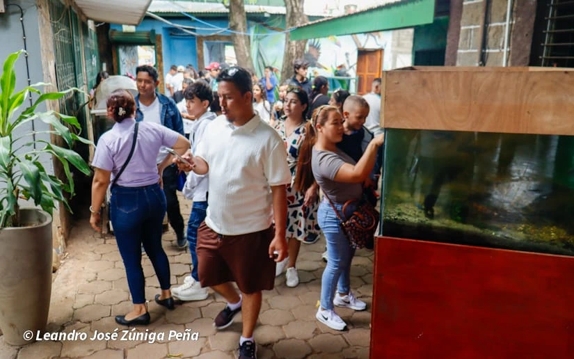 ZOOLOGICO-(12)