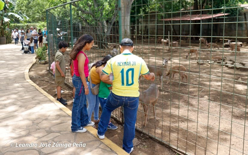 ZOOLOGICO-(27)