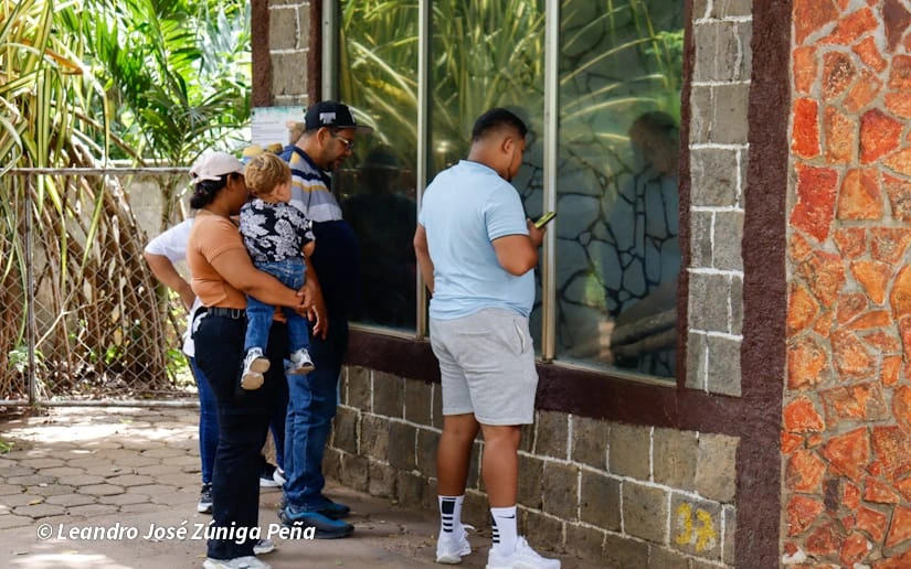 ZOOLOGICO-(8)