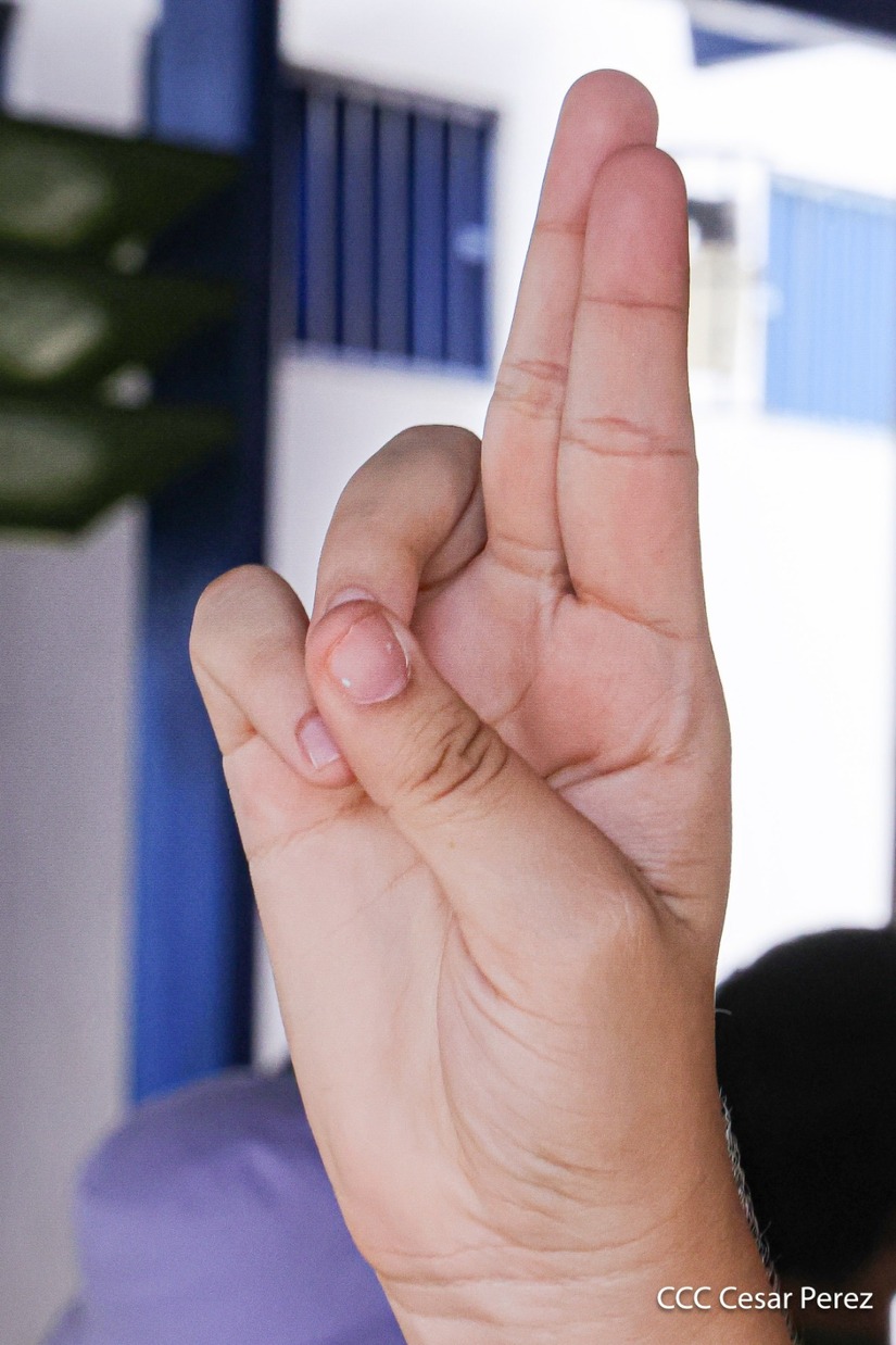 Lenguaje-de-senas--(9)