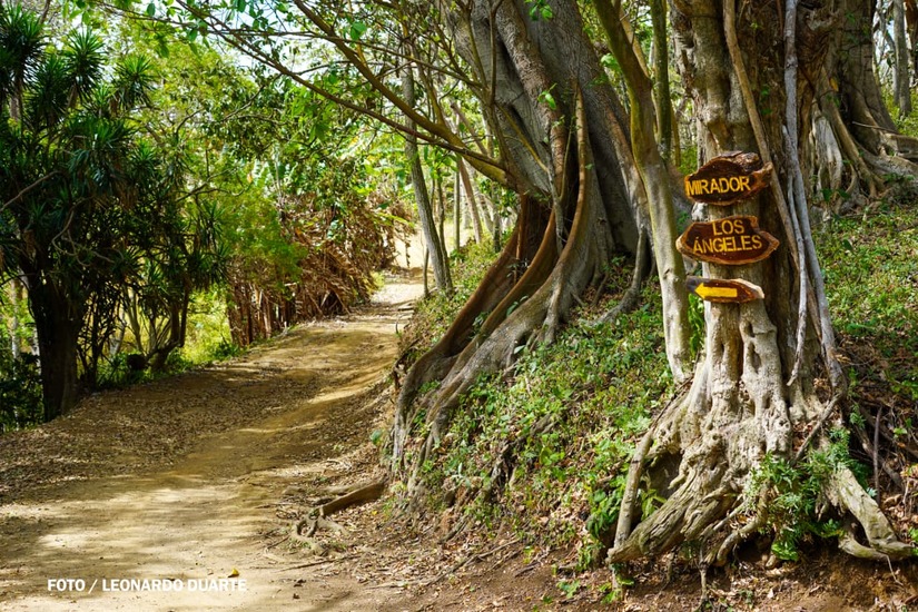 Vacaciones-Semana-Santa--(15)
