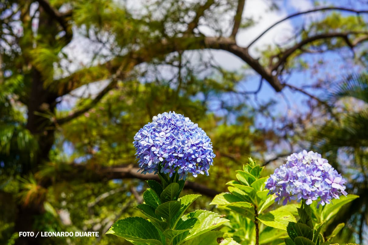Vacaciones-Semana-Santa--(23)