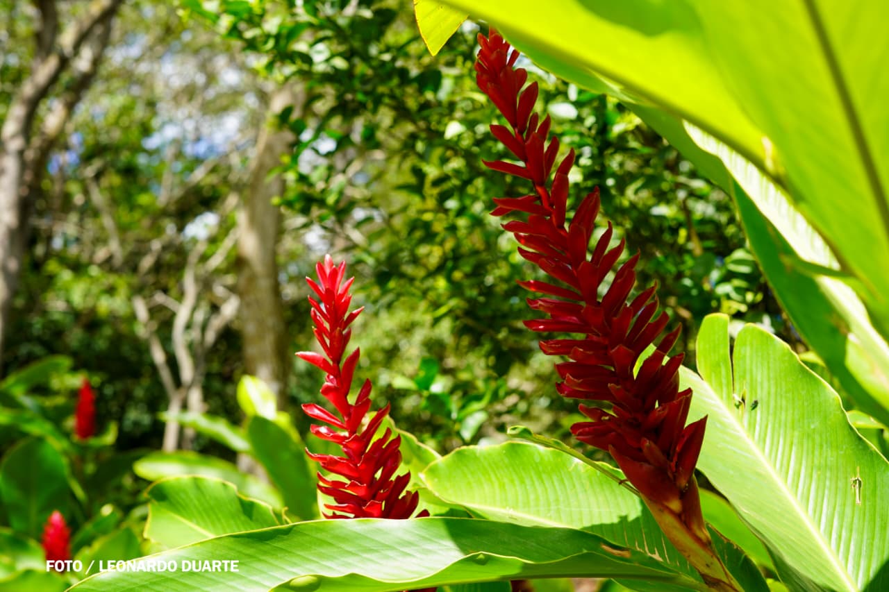 Vacaciones-Semana-Santa--(42)