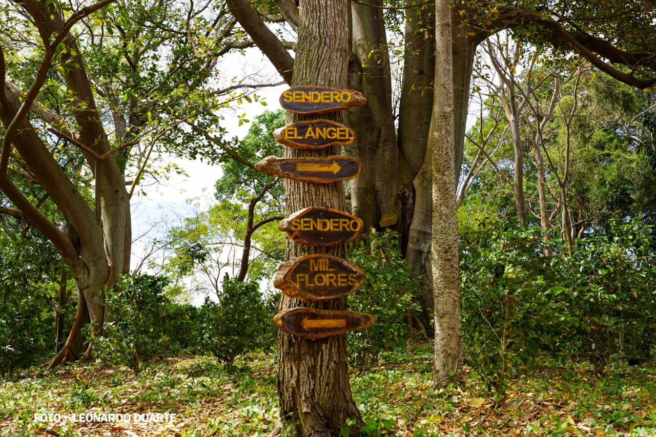 Vacaciones-Semana-Santa--(44)