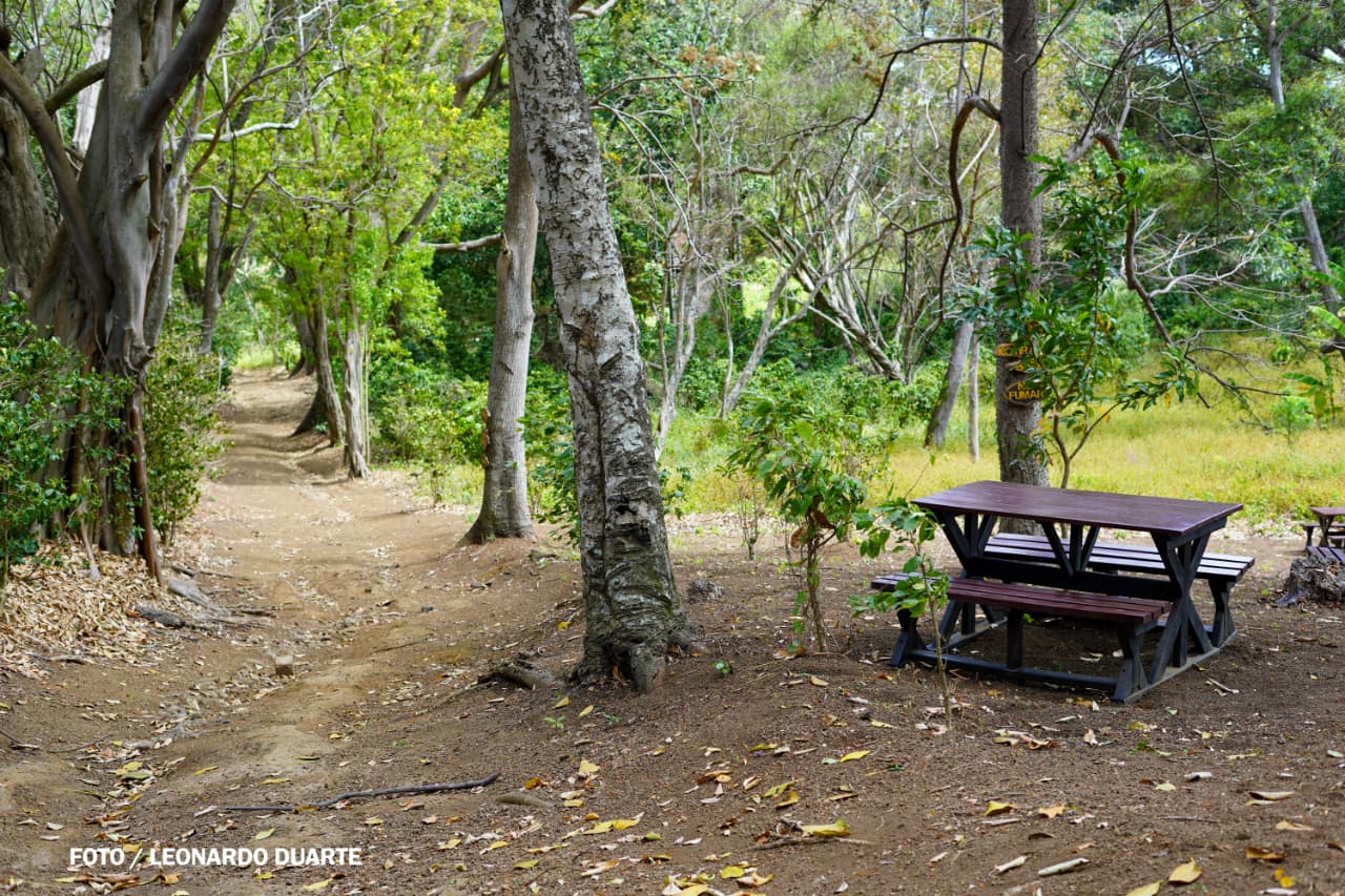 Vacaciones-Semana-Santa--(59)