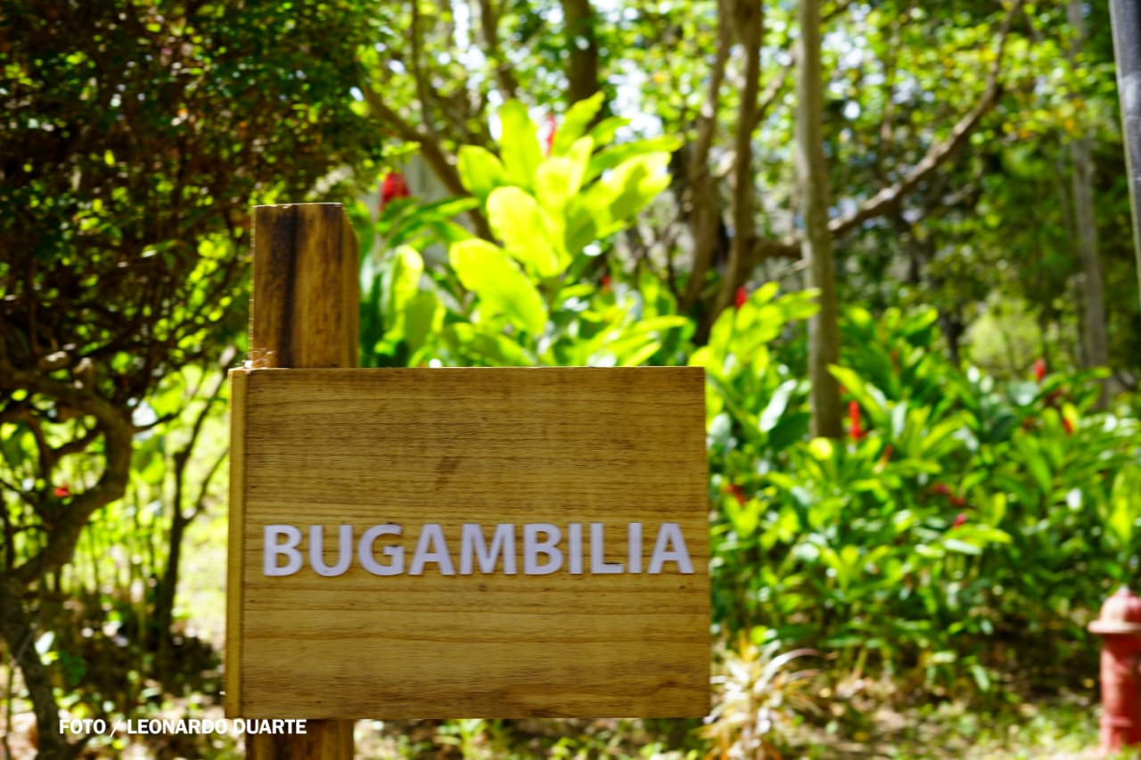 Vacaciones-Semana-Santa--(66)