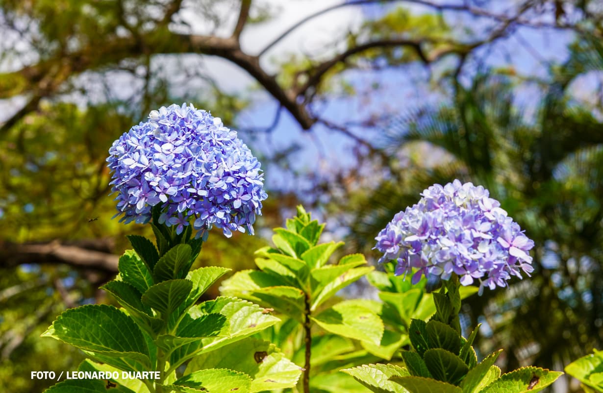 Vacaciones-Semana-Santa--(72)