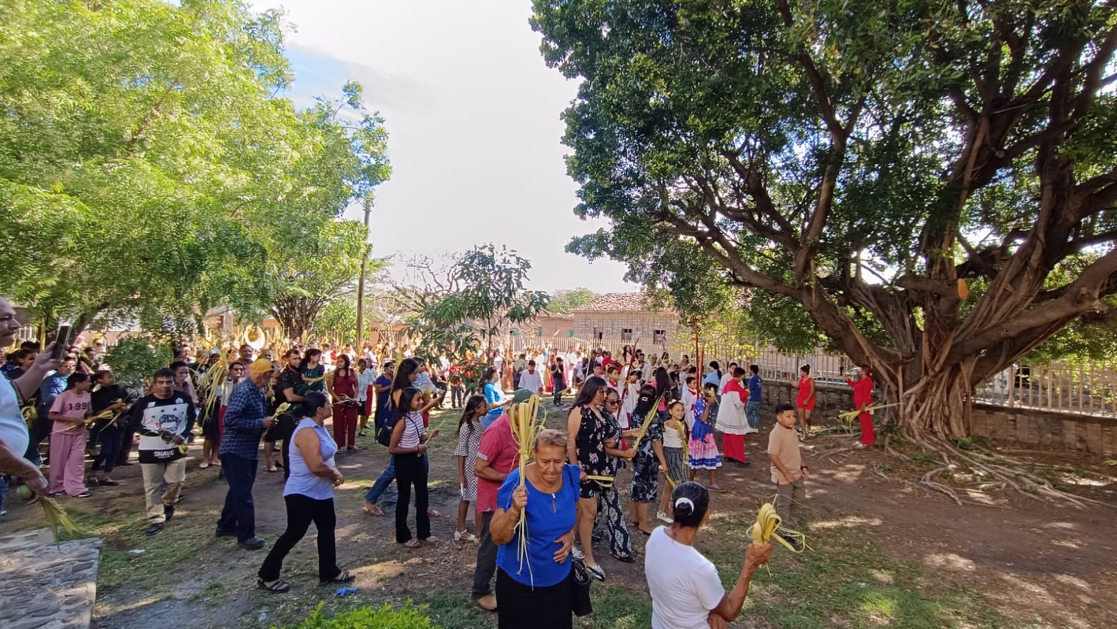 ESTELI-(23)