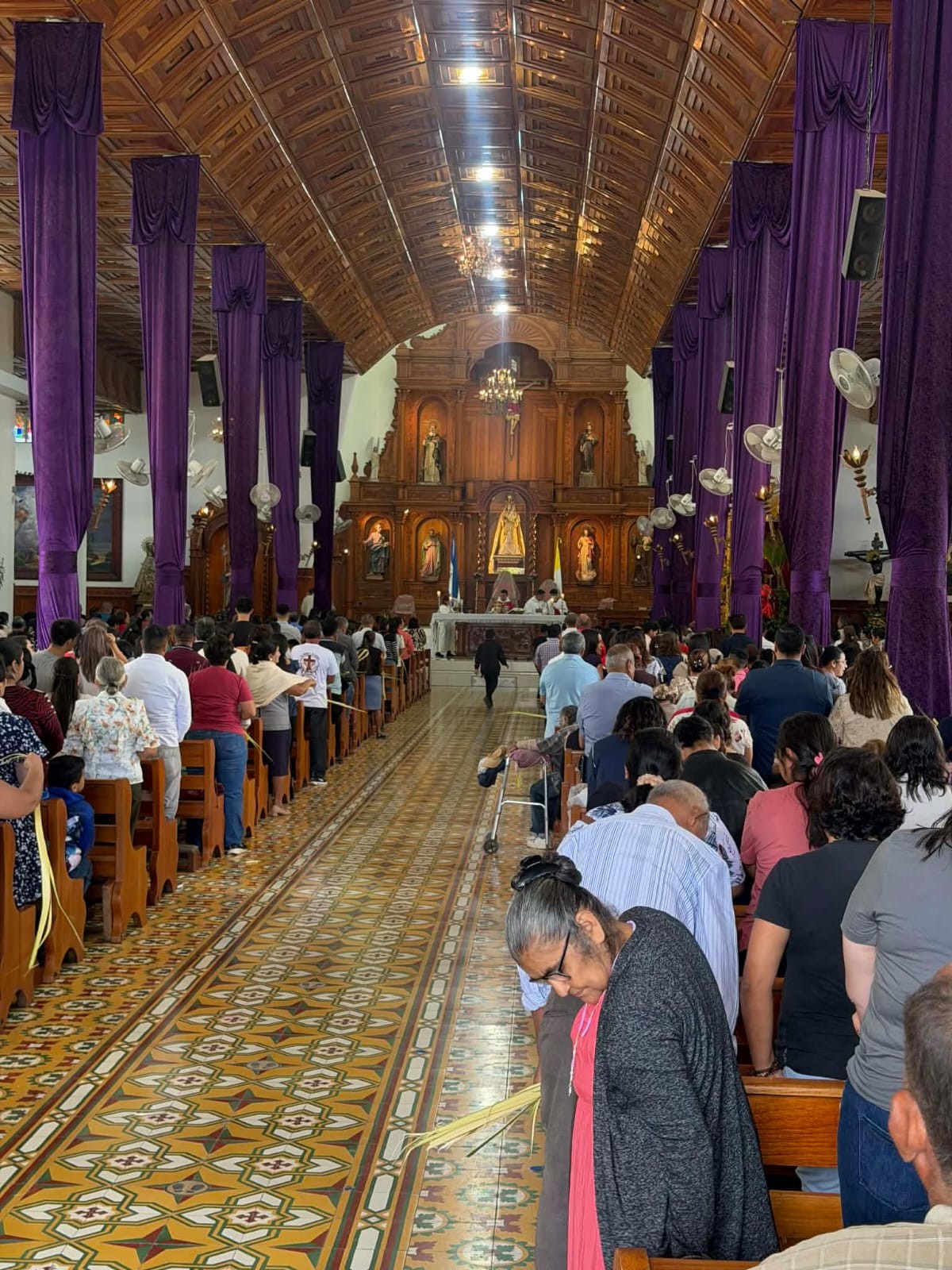 ESTELI-(5)