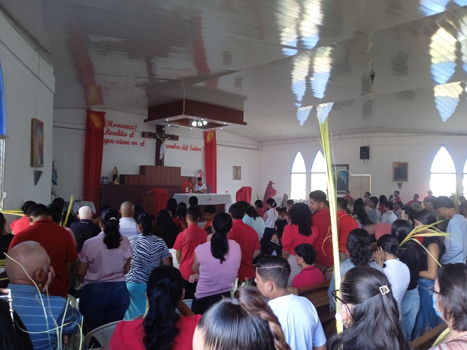 ESTELI-(9)