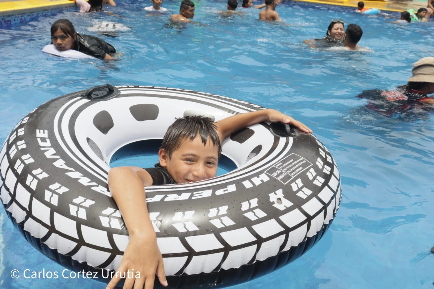 XILONEM-(2)