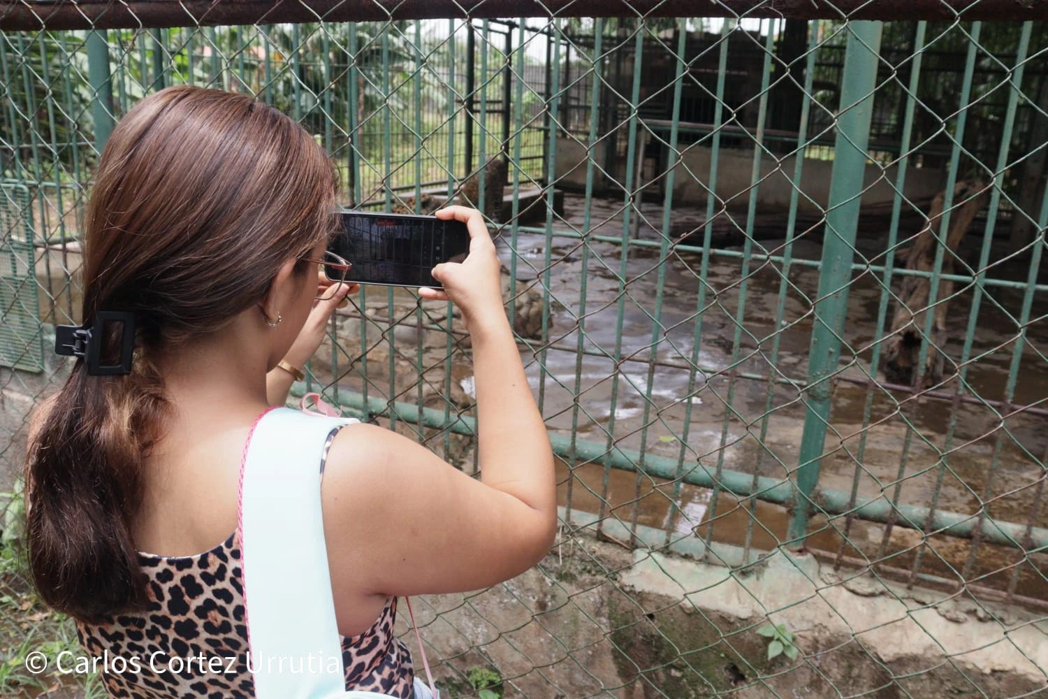 ZOOLOGICO-(14)
