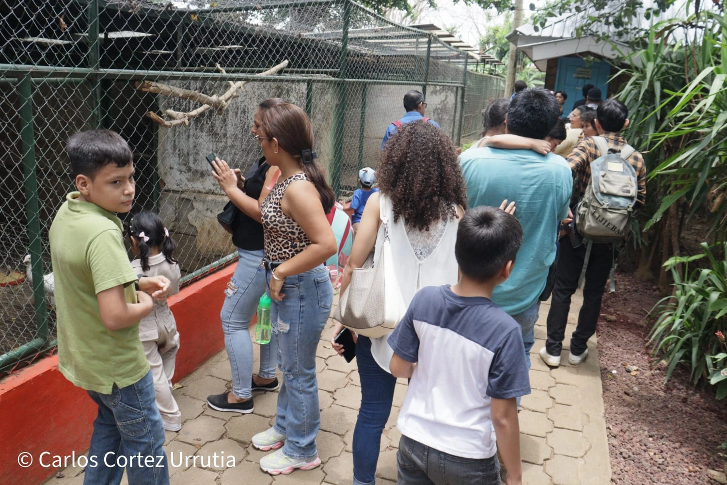 ZOOLOGICO-(15)
