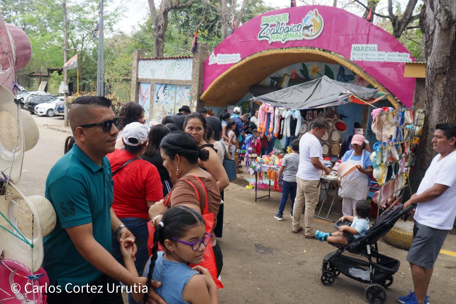 ZOOLOGICO-(19)