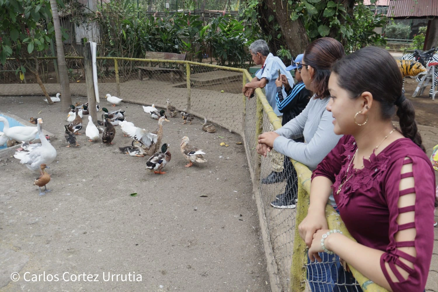 ZOOLOGICO-(3)