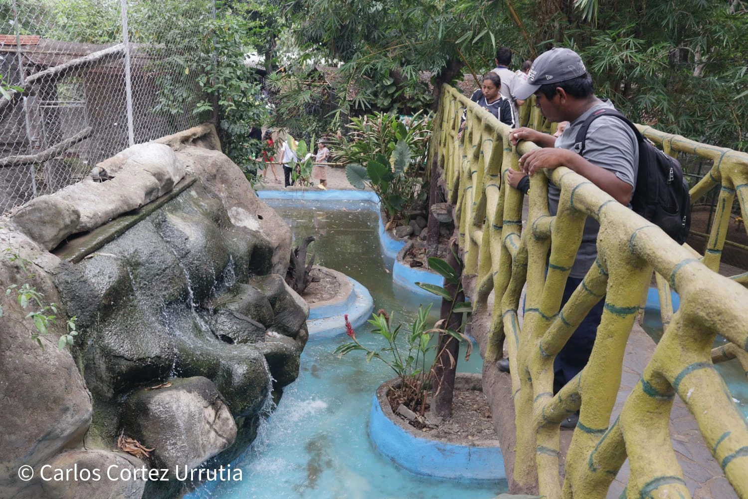 ZOOLOGICO-(4)
