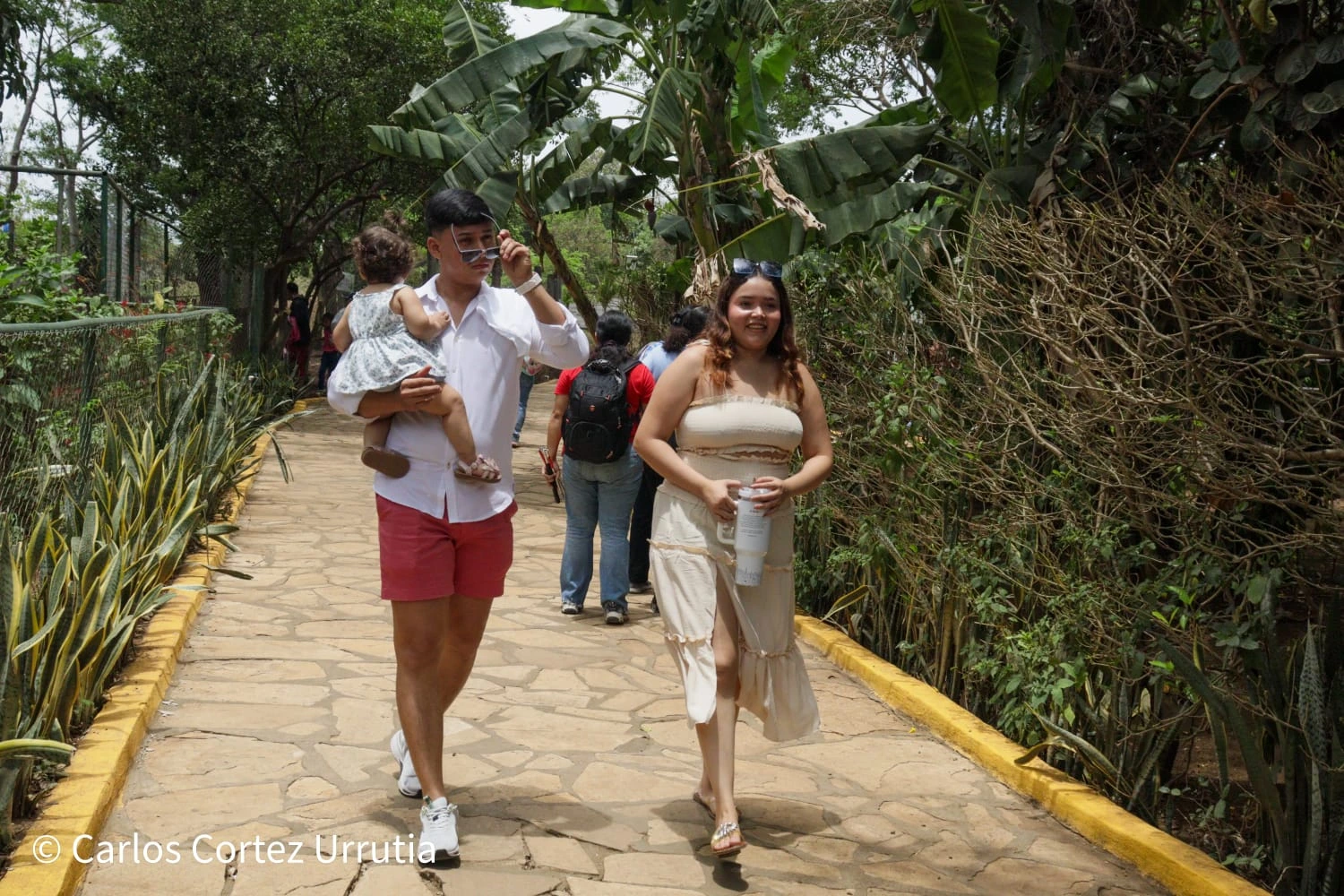 ZOOLOGICO-(8)