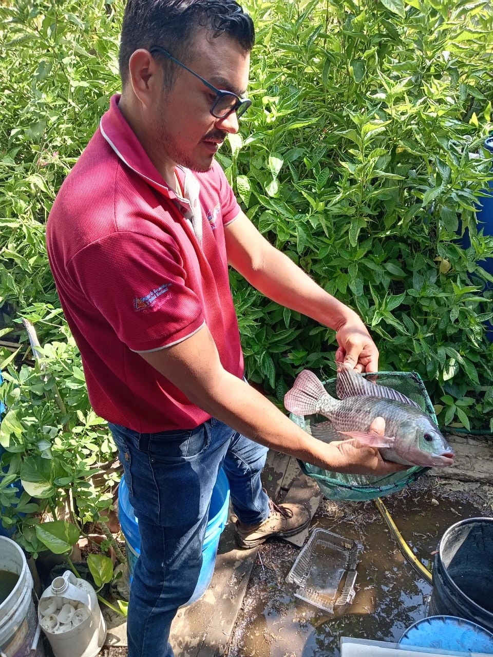 INPESCA15