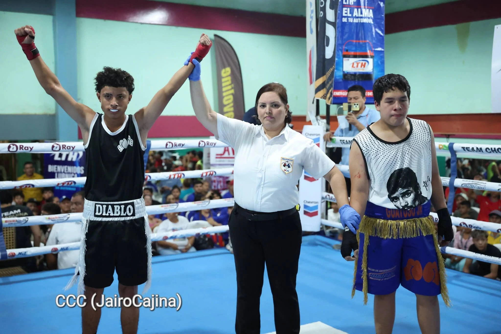 BOXEO-(1)