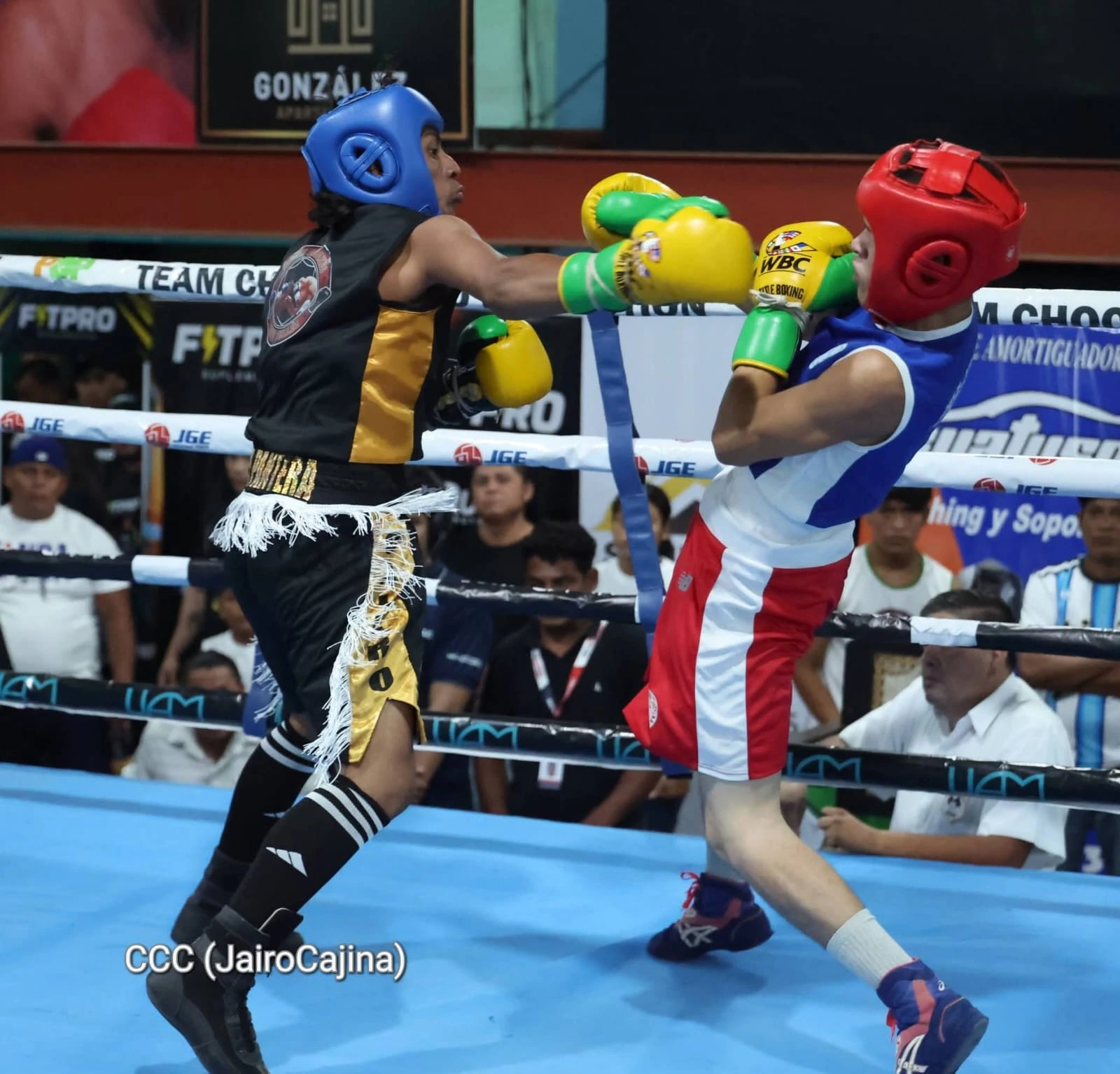 BOXEO-(15)