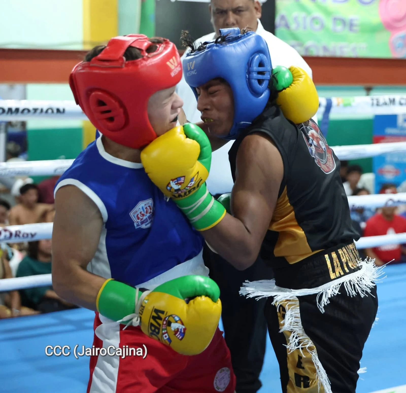 BOXEO-(20)