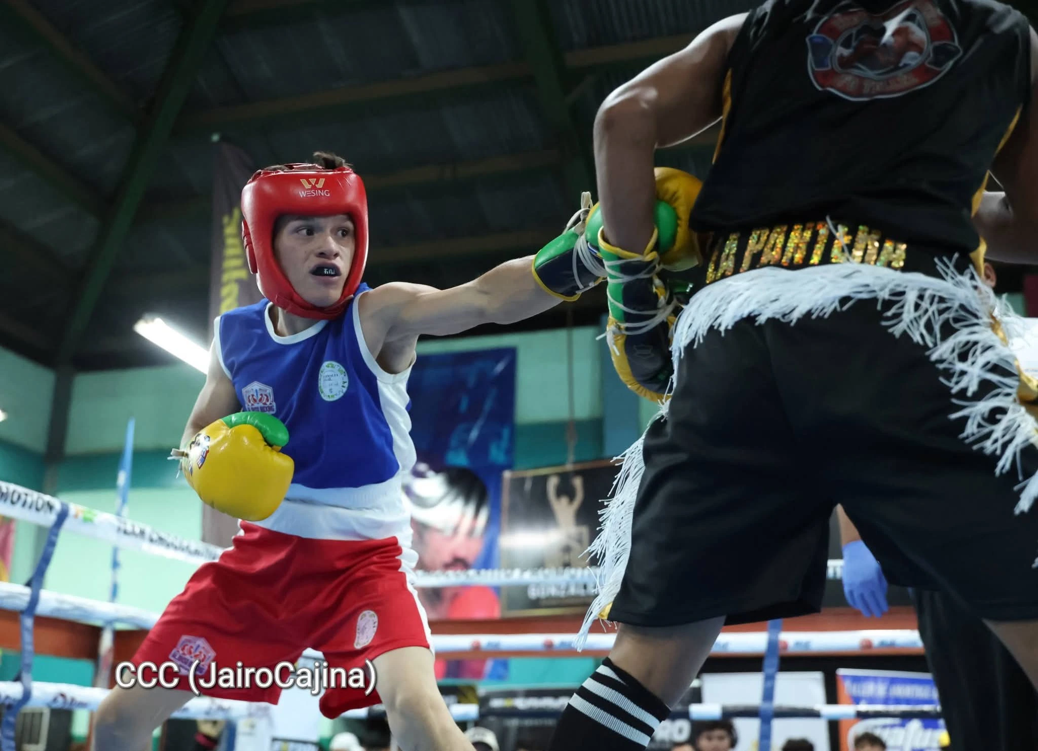 BOXEO-(8)