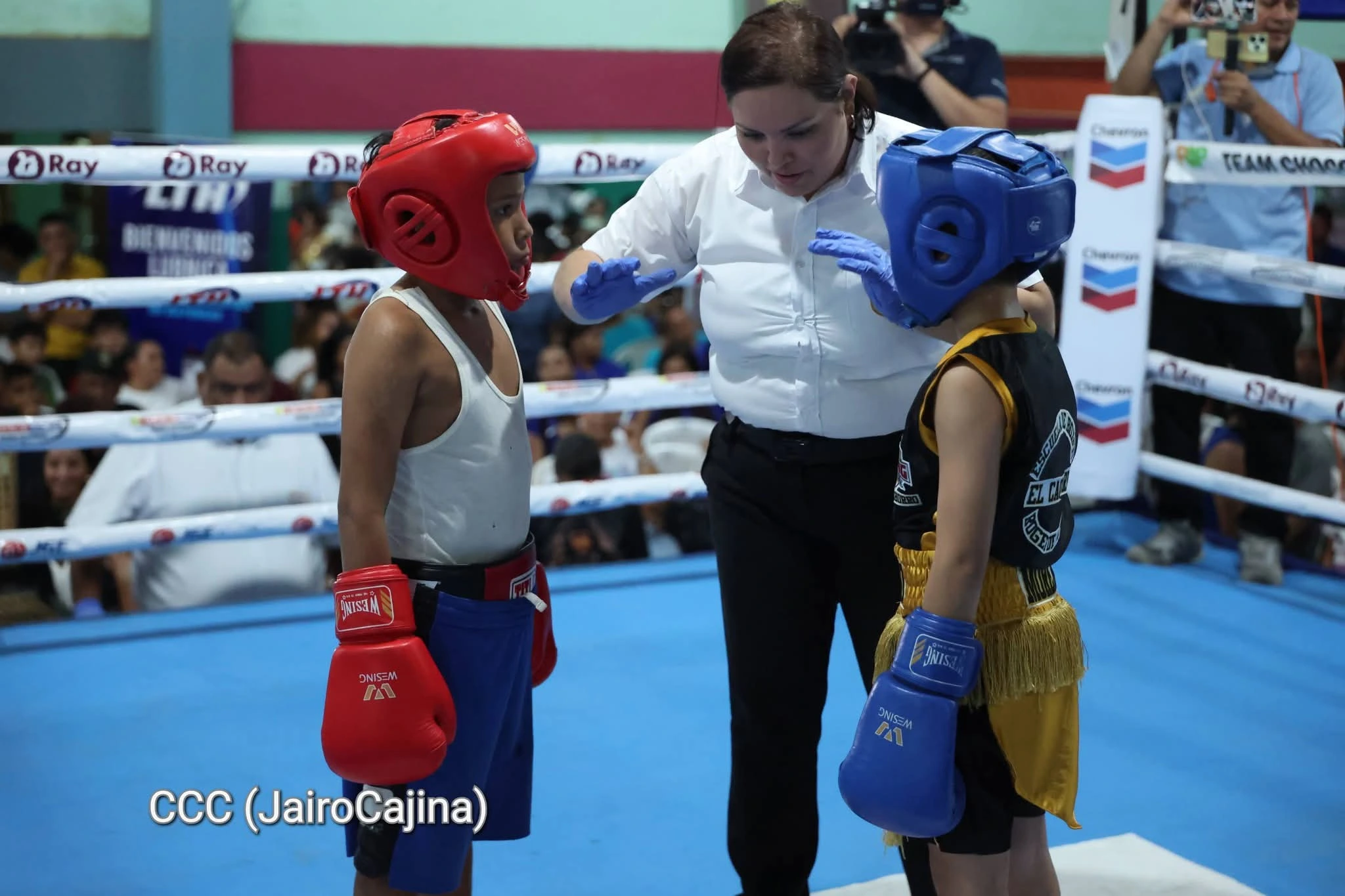 BOXEO-(9)