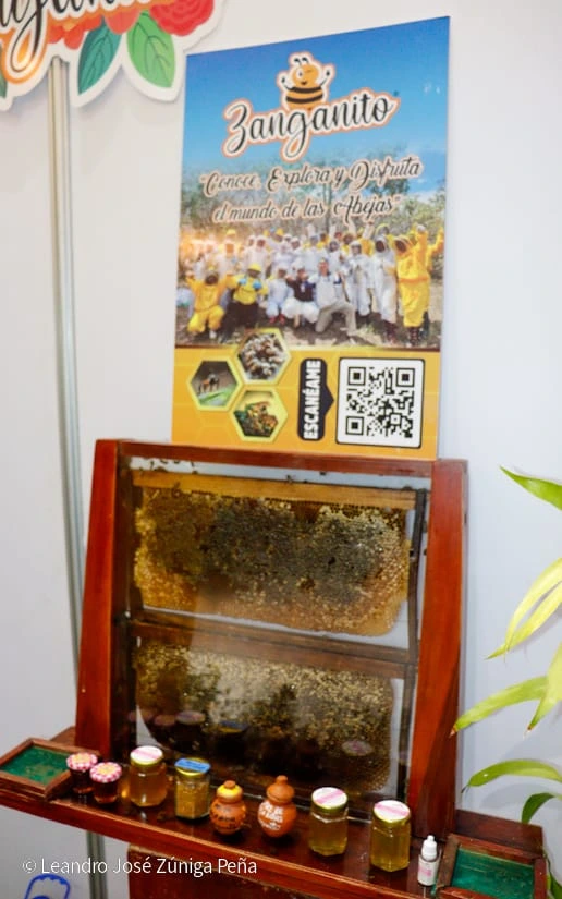 EXPO-(20)