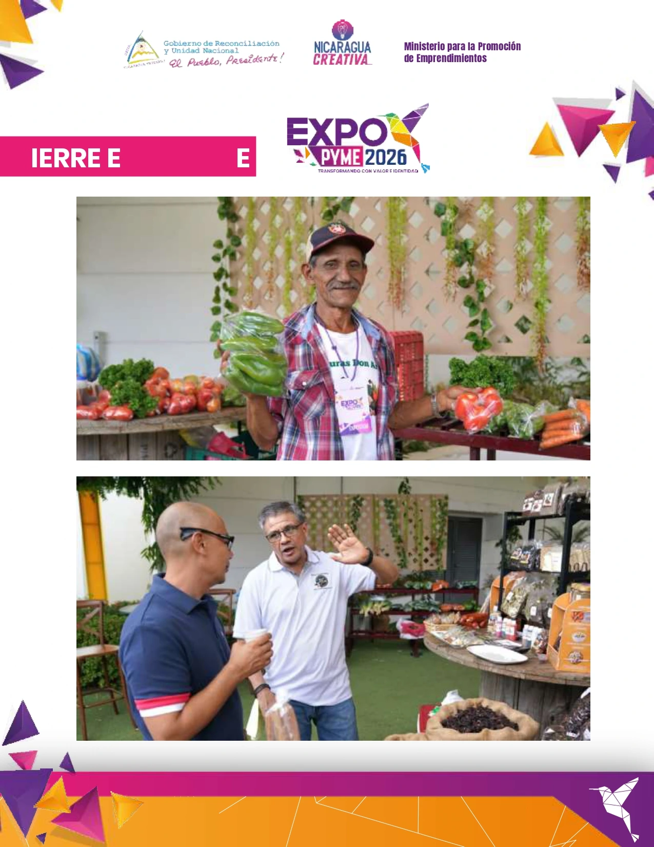 EXPO7