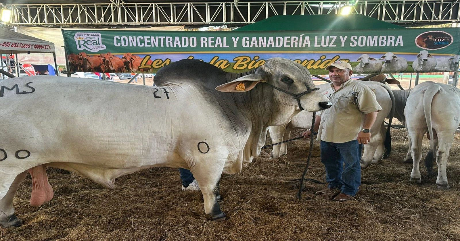 GANADO1