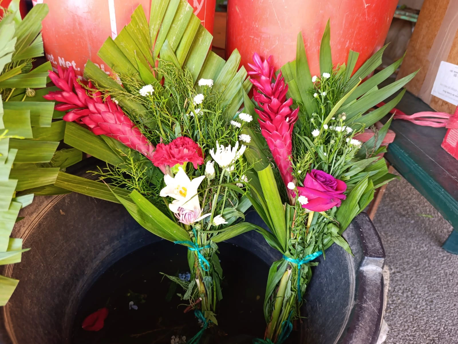 FLORES8