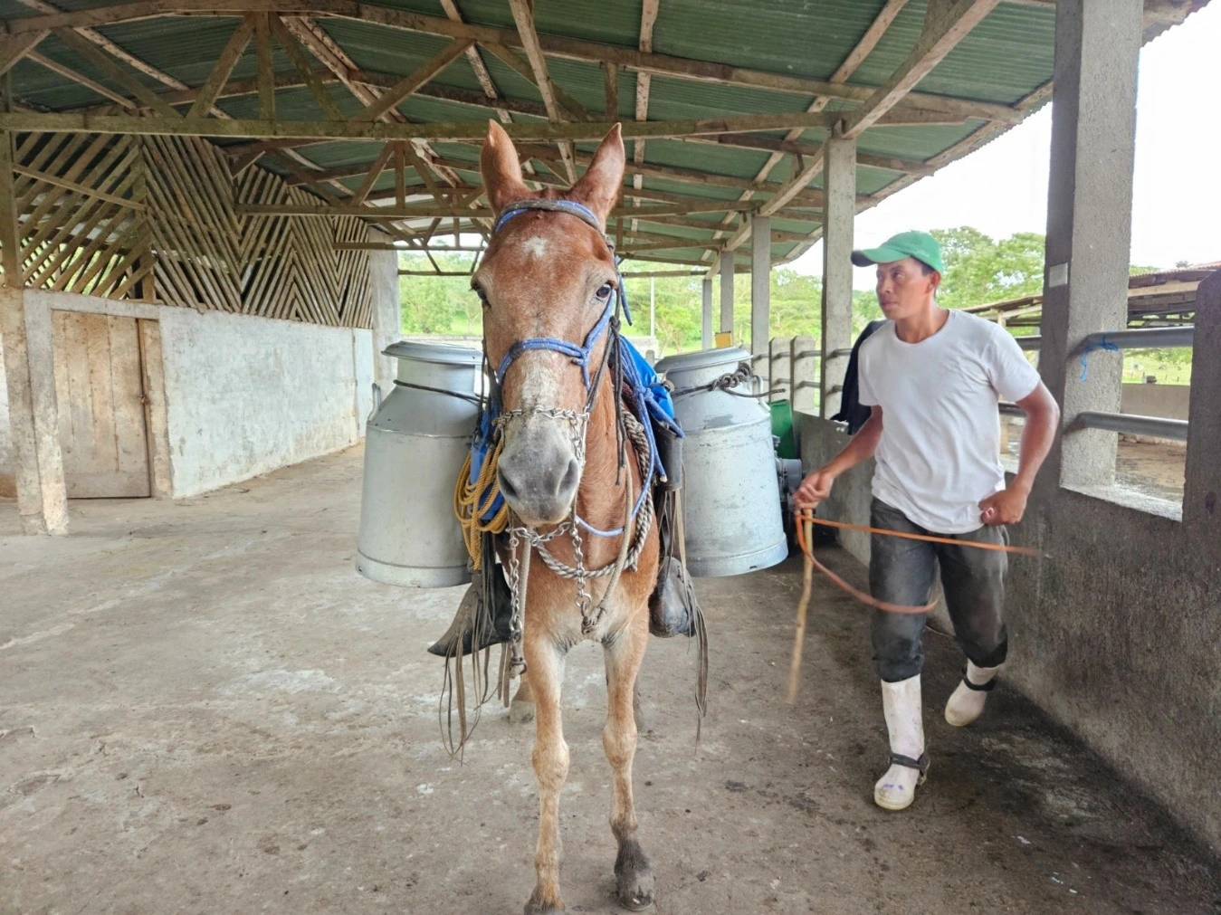 LECHE2