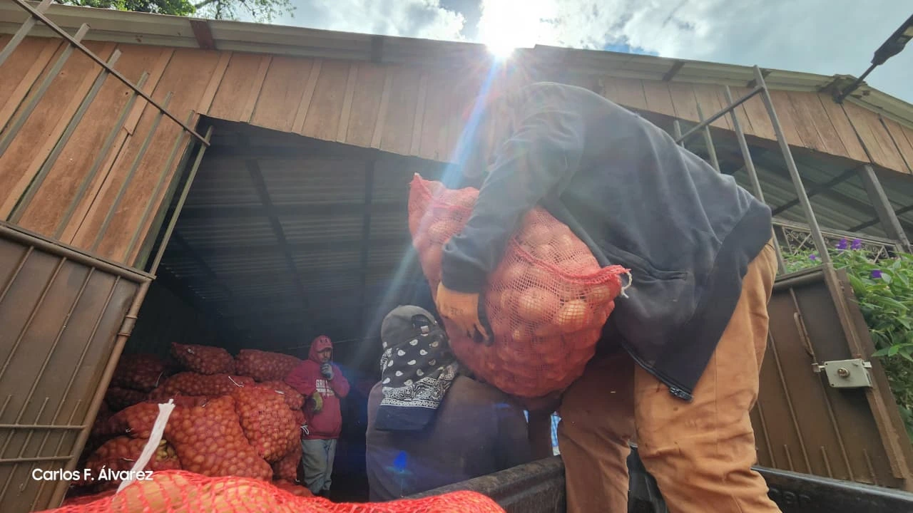 PRODUCTORES11