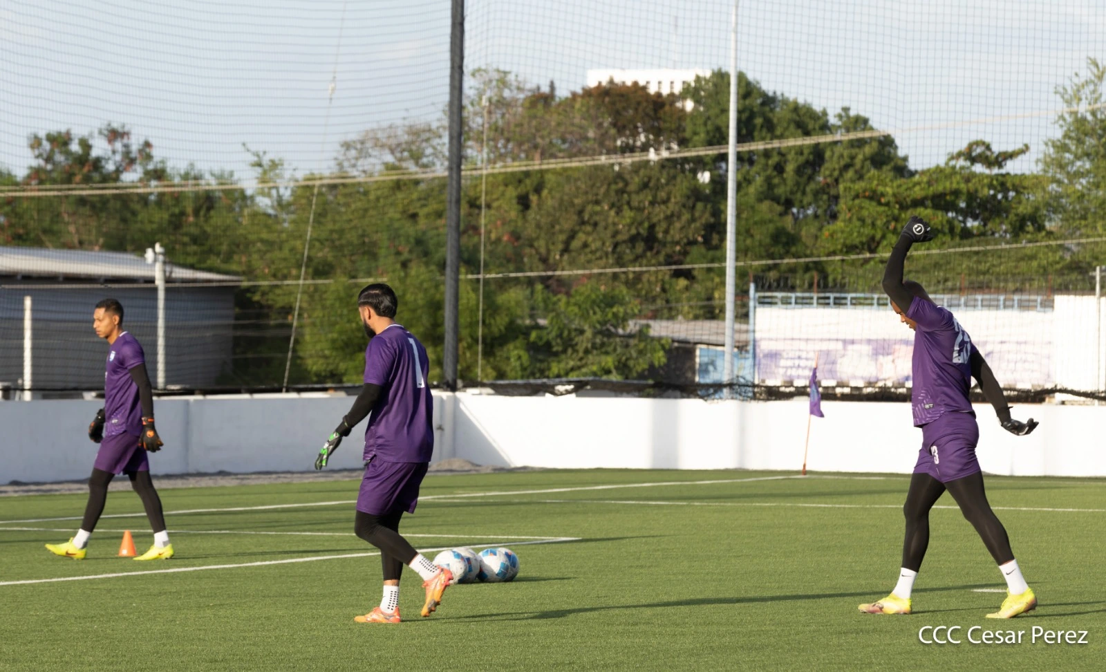 SELECCION7