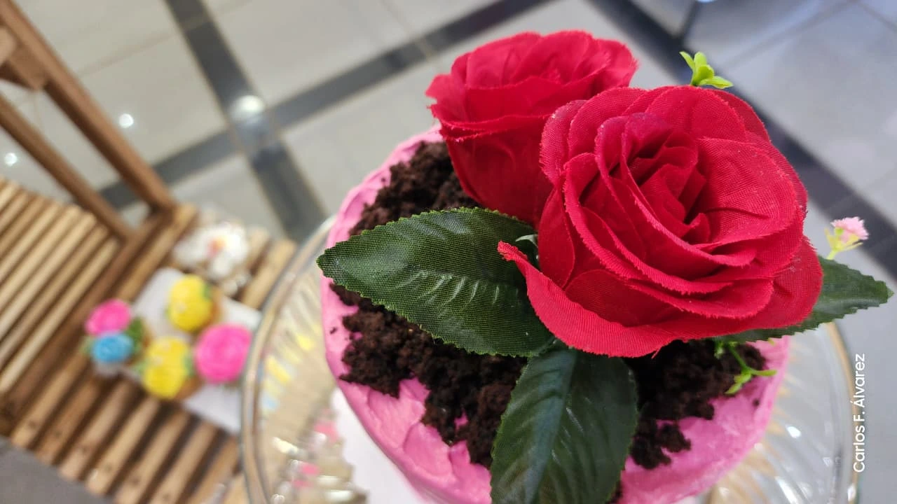 PASTELES11