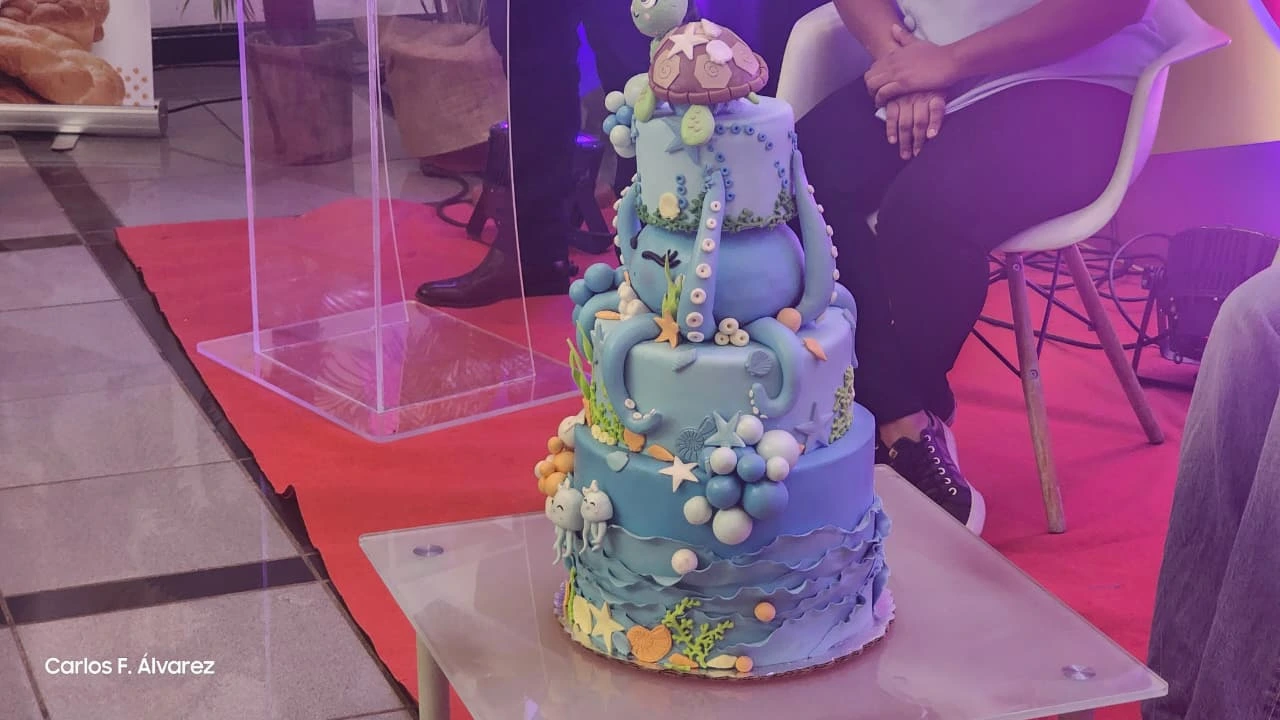 PASTELES9