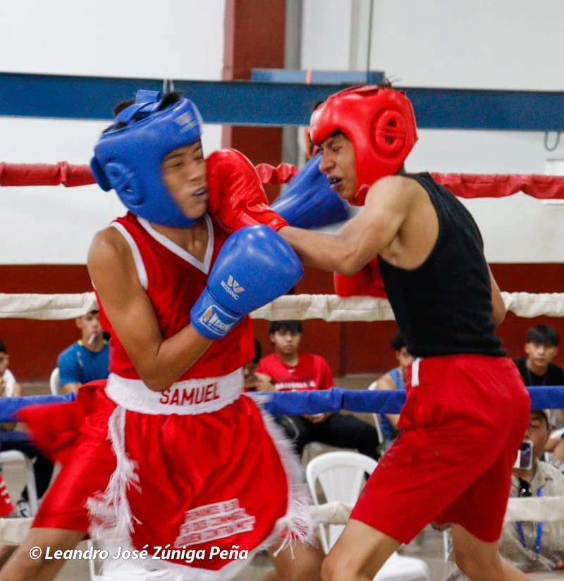 BOXEO11