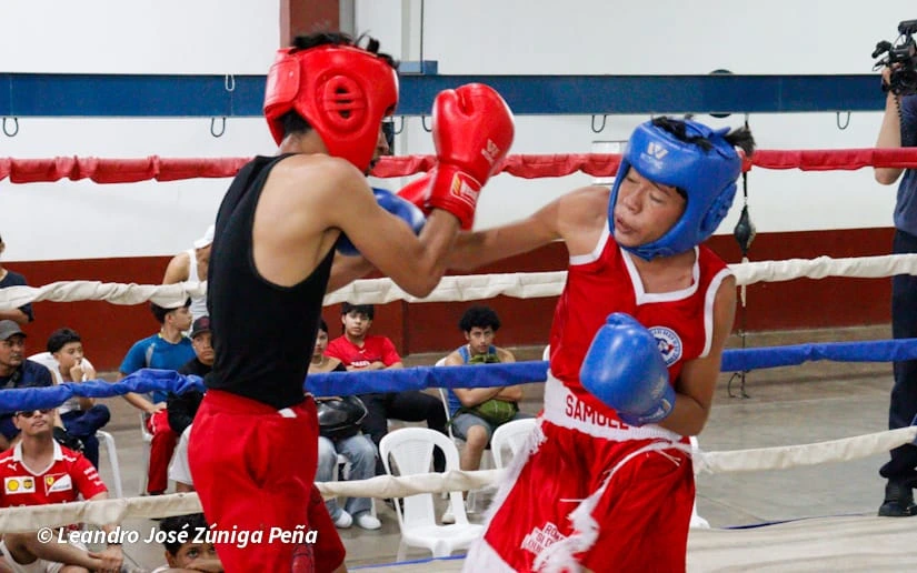 BOXEO8