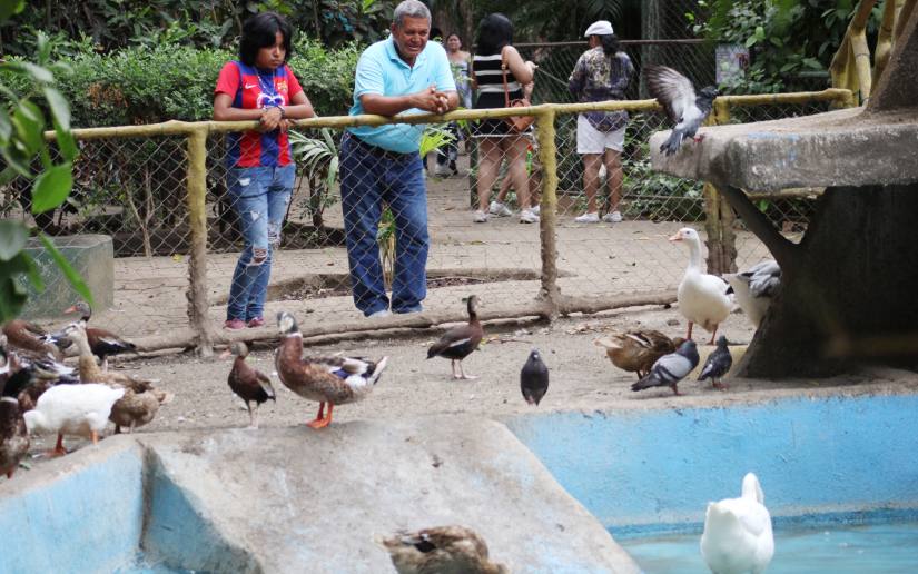 ZOOLOGICO--(5)