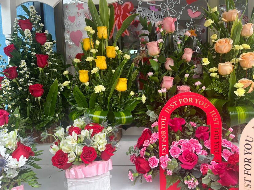 Flores-3