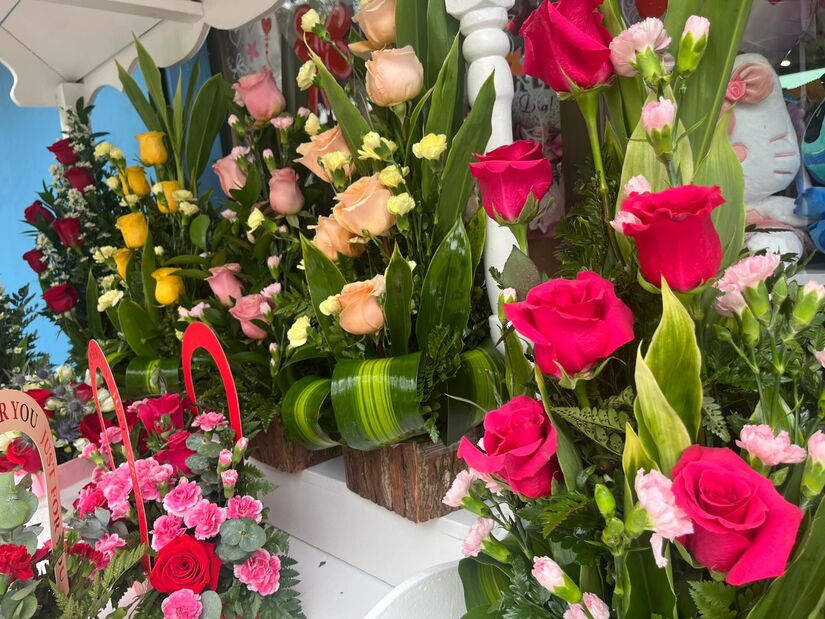 Flores-6