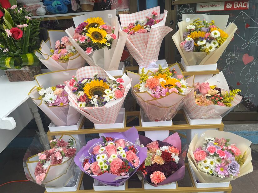 Flores-7
