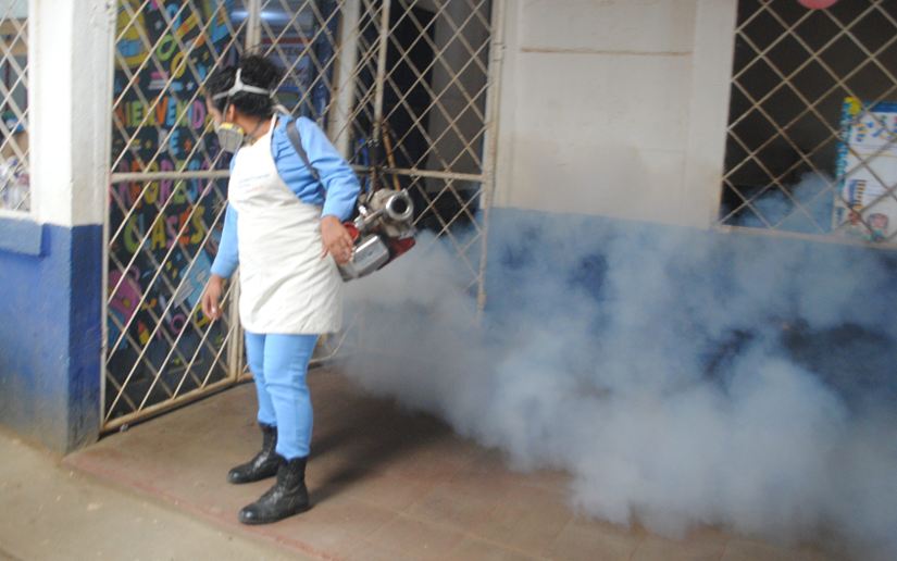 Fumigacion-3