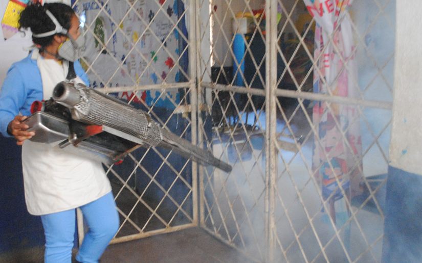 Fumigacion-4