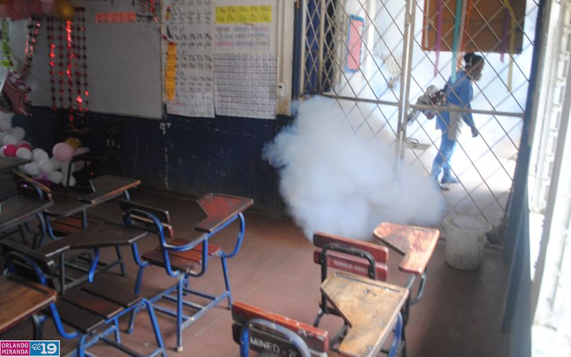 Fumigacion-5