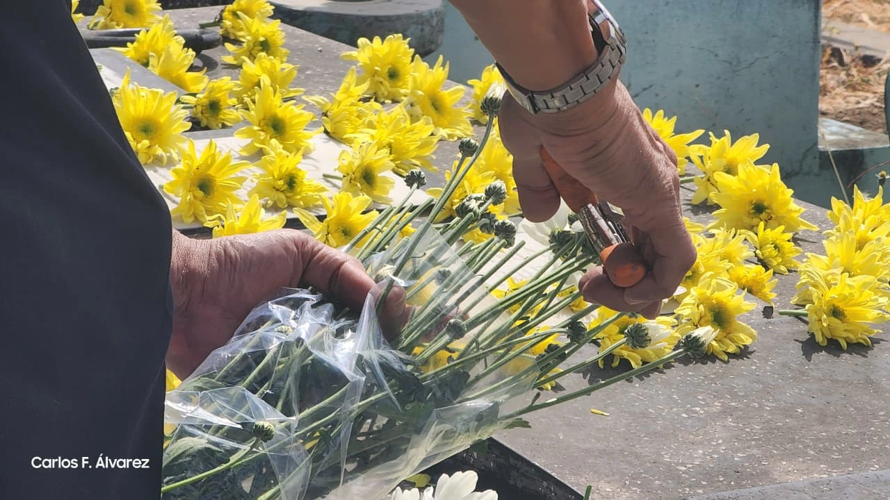 CEMENTERIO-(7)